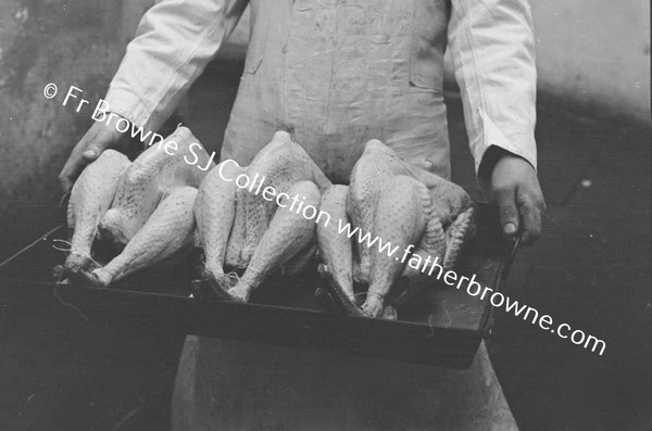 TURKEYS MAN SHOWING SPECIMENS READY FOR THE OVEN